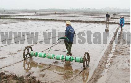 Máy sạ lúa thẳng hàng