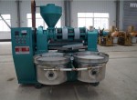 Những chiếc máy ép dầu công nghiệp đang là lựa chọn số 1 hiện nay