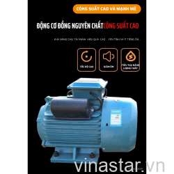 Máy Bổ Củi Động Cơ Điện -1 pha 5,5kw